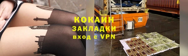 2c-b Бородино