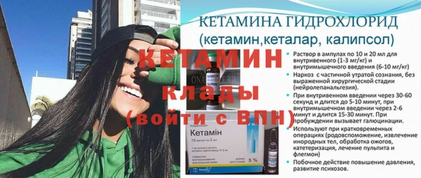 сатива Верея