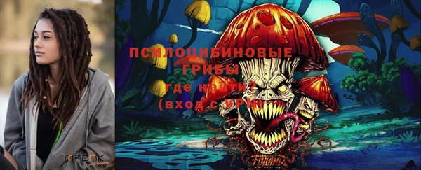 сатива Верея