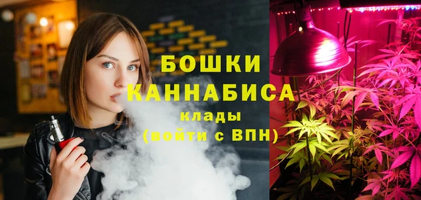 2c-b Бородино