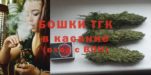 2c-b Бородино