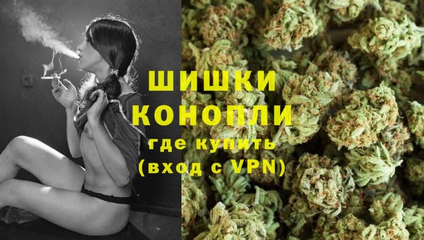 сатива Верея