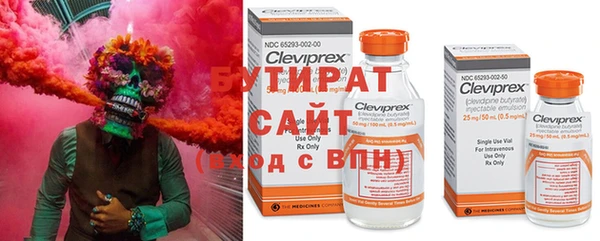 2c-b Бородино